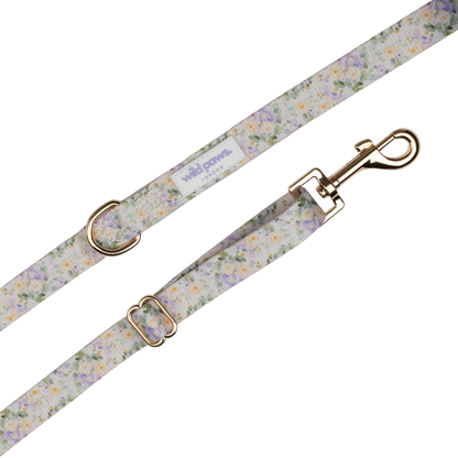 Vintage Violets Adjustable Lead (3ft-5ft)