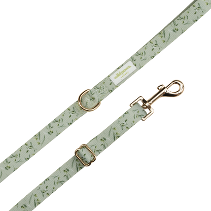 Olive Orchard Adjustable Lead (3-5ft)
