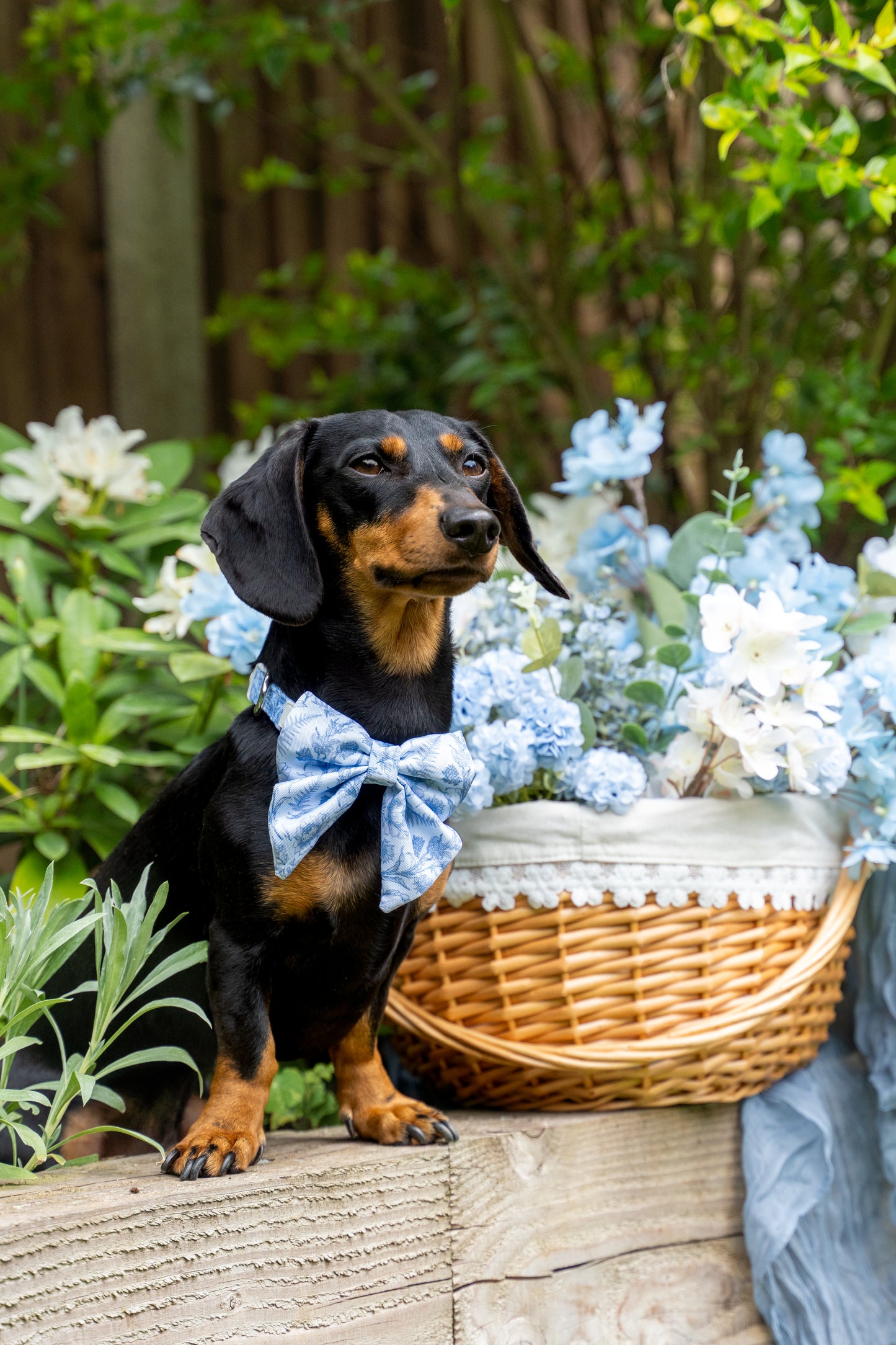 Wildflower Whispers Adjustable Collar