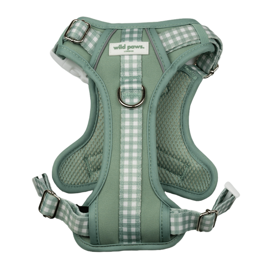 Matcha Milkshake Wild Edition Harness
