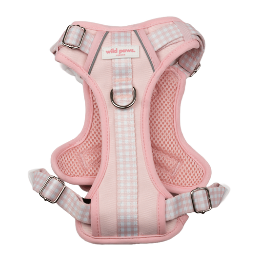 Strawberry Shortcake Wild Edition Harness