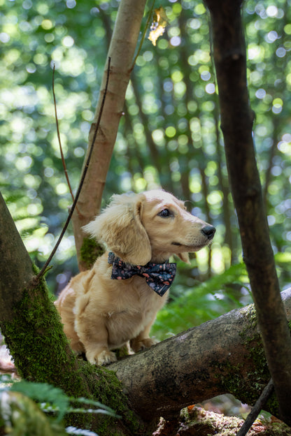 Fairytale Forest Adjustable Collar