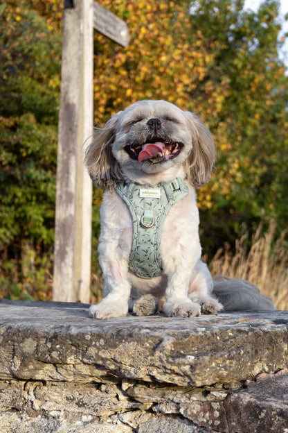 Olive Orchard Wild Edition Harness