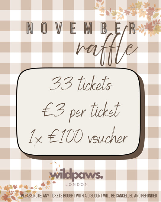 The AUTUMN Raffle