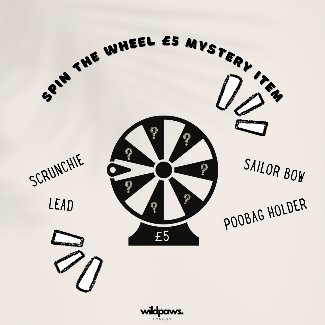 £5 MYSTERY ACCESSORY - SPIN THE WHEEL