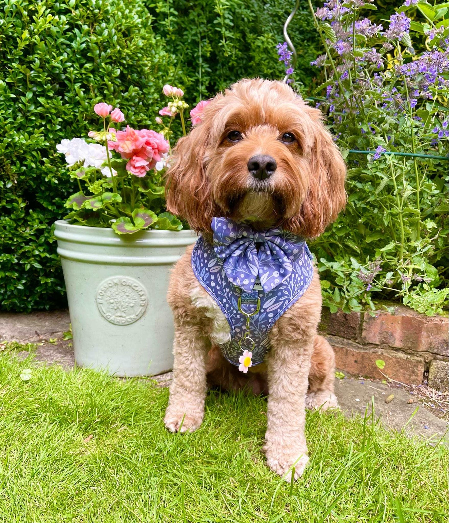 Berry Blue Sailor Bow