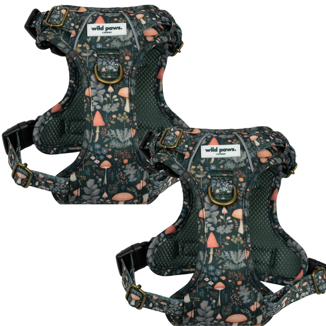 WildDuo Fairytale Forest