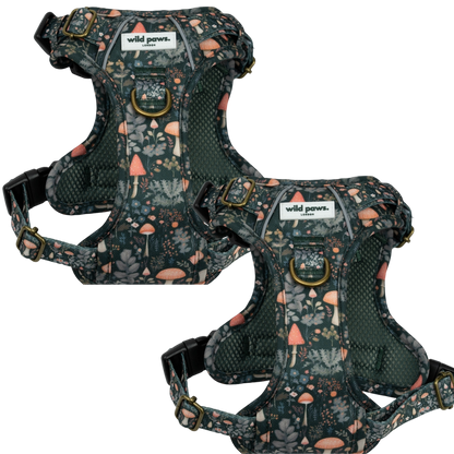 WildDuo Fairytale Forest