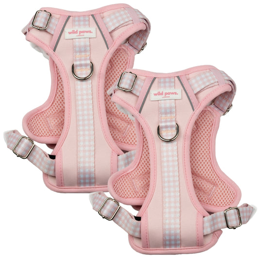 WildDuo Strawberry Shortcake