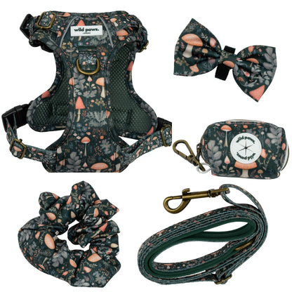 FULL Fairytale Forest Wild Edition Bundle