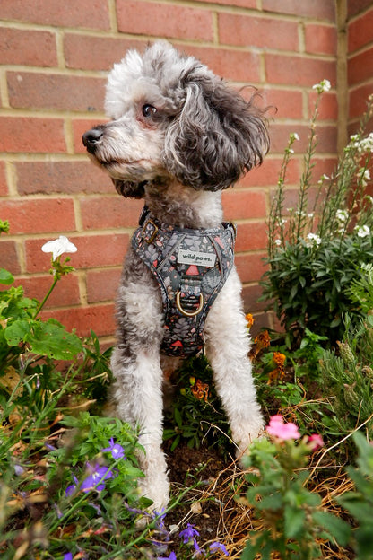 Fairytale Forest Wild Edition Harness