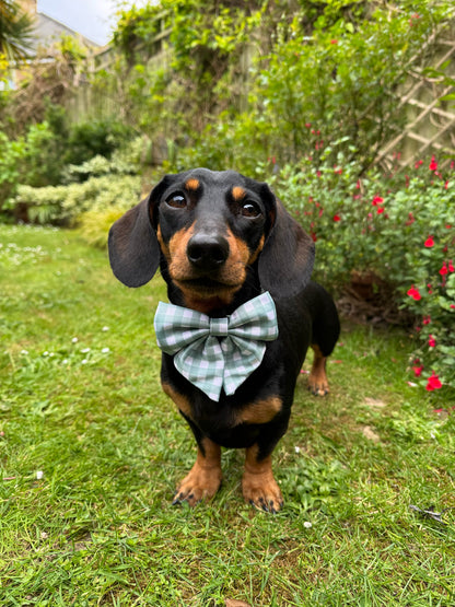 Matcha Milkshake Sailor Bow